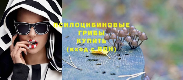 кокс Арсеньев