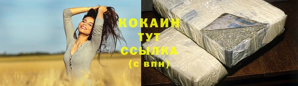 кокс Арсеньев