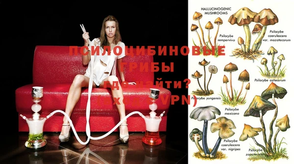 MDMA Армянск