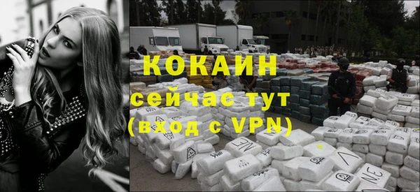 кокс Арсеньев
